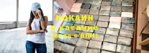 гашик Няндома