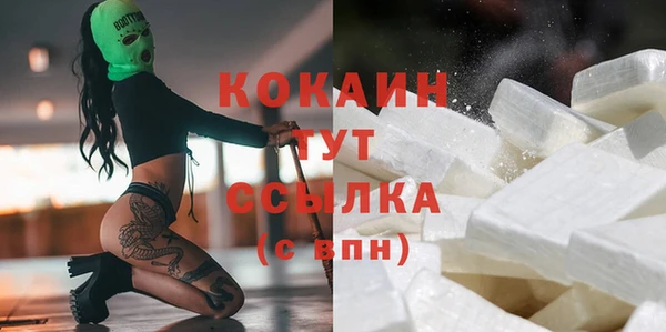 гашик Няндома