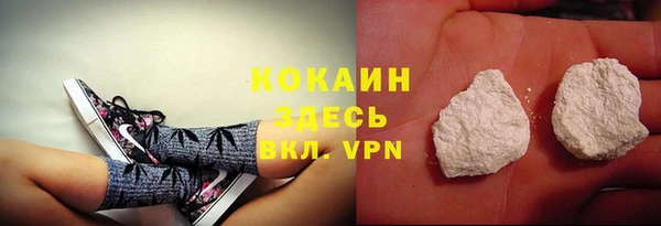 гашик Няндома