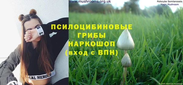дурь Новозыбков