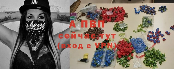 гашик Няндома