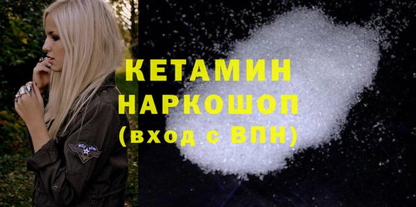 гашик Няндома