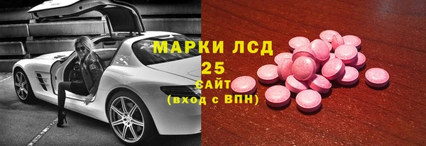 гашик Няндома