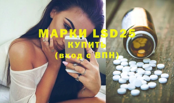 гашик Няндома