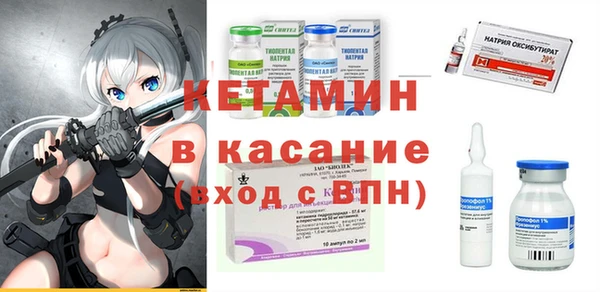 гашик Няндома