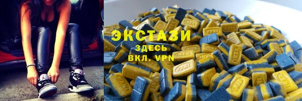 гашик Няндома