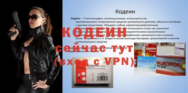 гашик Няндома