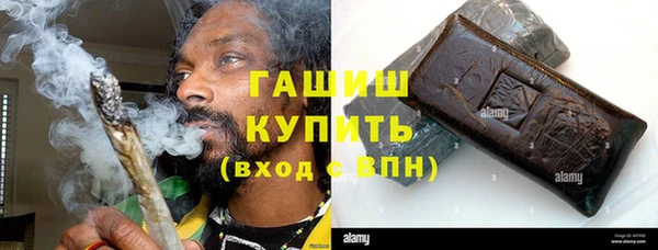 гашик Няндома
